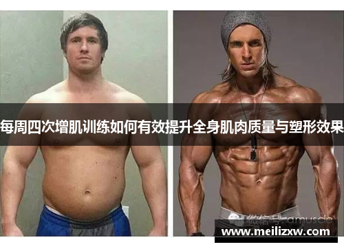 每周四次增肌训练如何有效提升全身肌肉质量与塑形效果