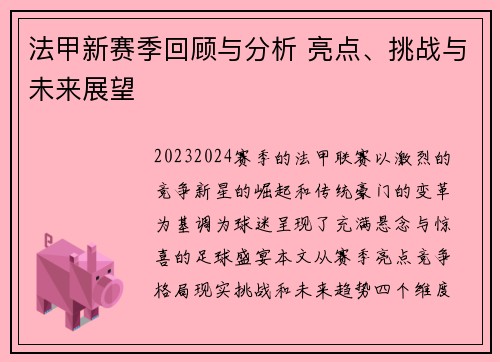 法甲新赛季回顾与分析 亮点、挑战与未来展望